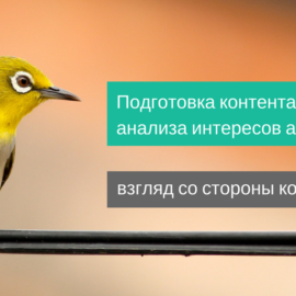 Подготовка контента на основе анализа интересов аудитории [взгляд со стороны копирайтера]